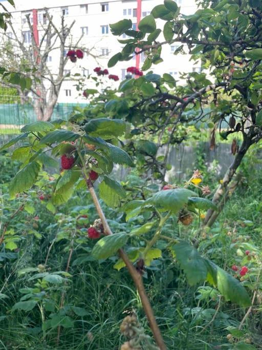 Maison Spacieuse Avec Jardin Et Salle De Sport แซงต์-บรีเออ ภายนอก รูปภาพ